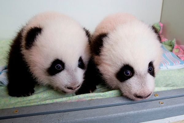 Intro for October 24, 2013