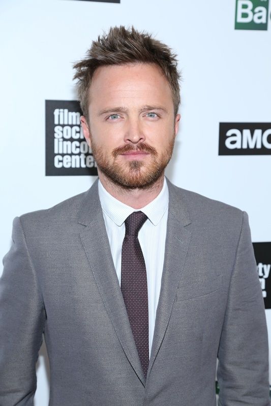 Aaron Paul 2.0