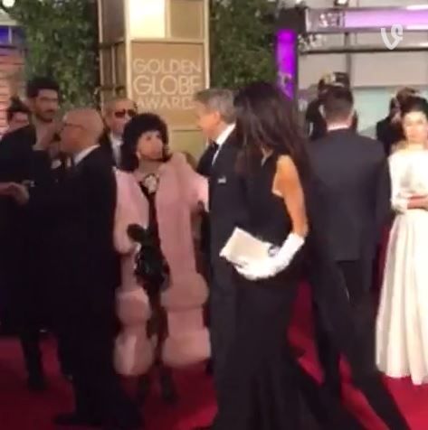 The Pink Poodle of the Globes