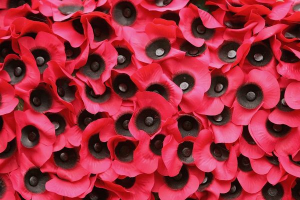 Intro for November 11, 2016