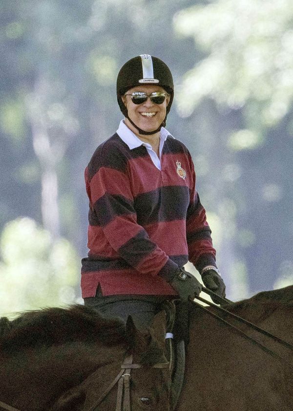 Prince Andrew, Jeffrey Epstein, Ghislaine Maxwell, and the London Police