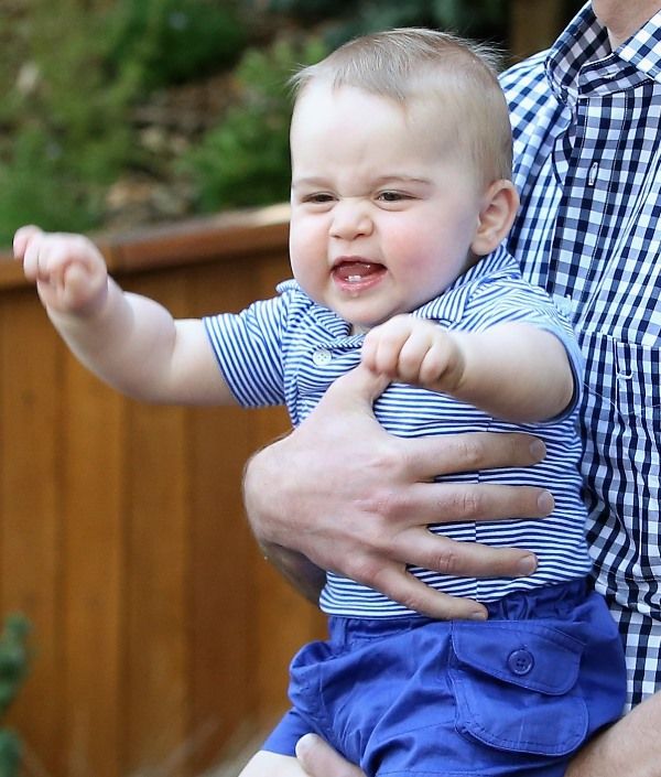 Future King, wild animal