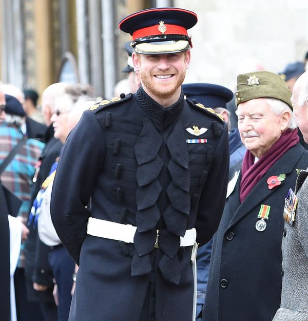 Hot Harry after the Love Shield