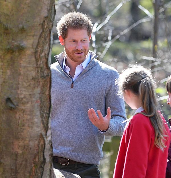 Hot Harry’s unintentional shade