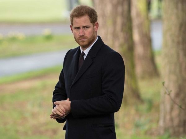 Harry: His True Story