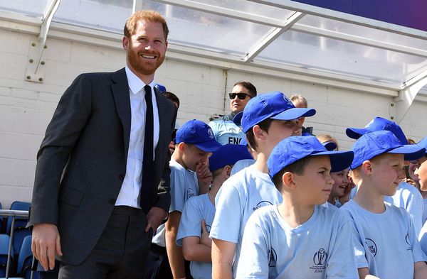 Prince Harry: garden parties, cricket, and notes on the Sussex IG
