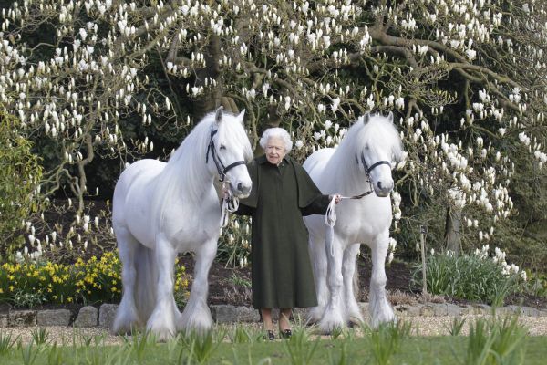 The Queen’s Birthday Portrait