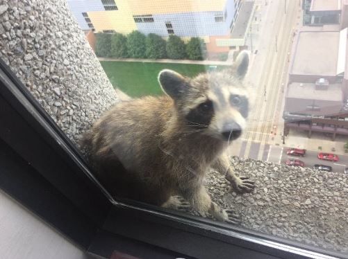 Intro for June 13, 2018