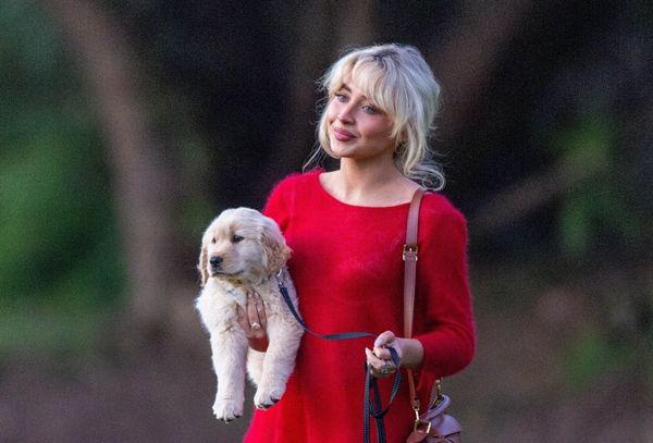 Sabrina Carpenter’s new dog?