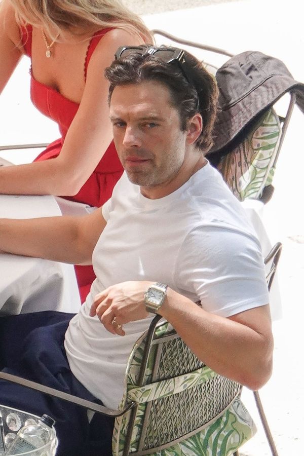 Sebastian Stan: An Update