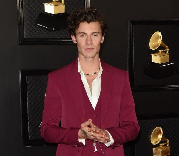 Shawn Mendes: TikTok Awkward