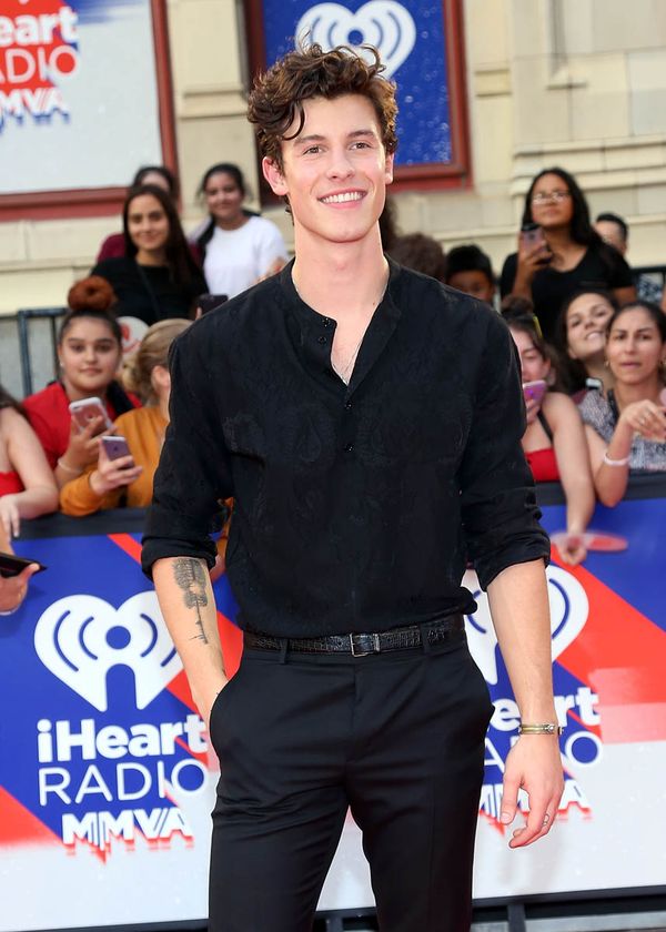 The Shawn Mendes MMVAs