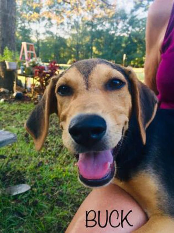 October 11, 2019 – Smutty Shout-Outs