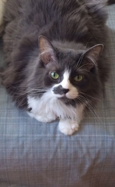 January 15, 2019 – Smutty Shout-Outs