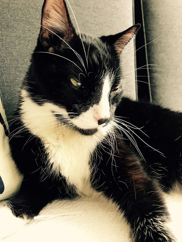 January 16, 2019 – Smutty Shout-Outs