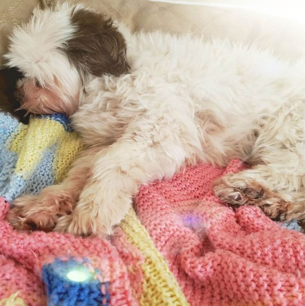 Shout-Outs for January 17, 2020