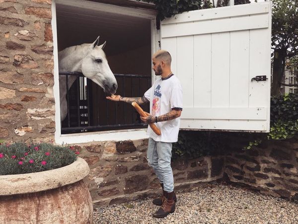 Smutty Social Media, August 17, 2017