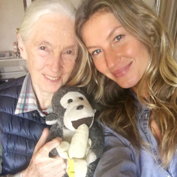 Smutty Social Media, September 21, 2016