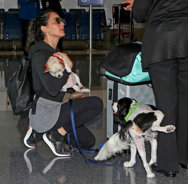 Smutty Social Media, November 23, 2017