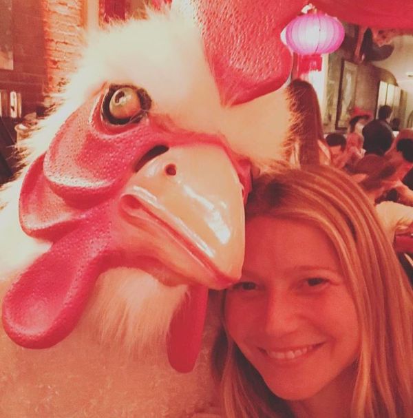 Smutty Social Media, January 30, 2017