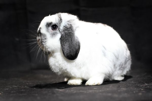 March 16, 2021 – Smutty Shout-Outs