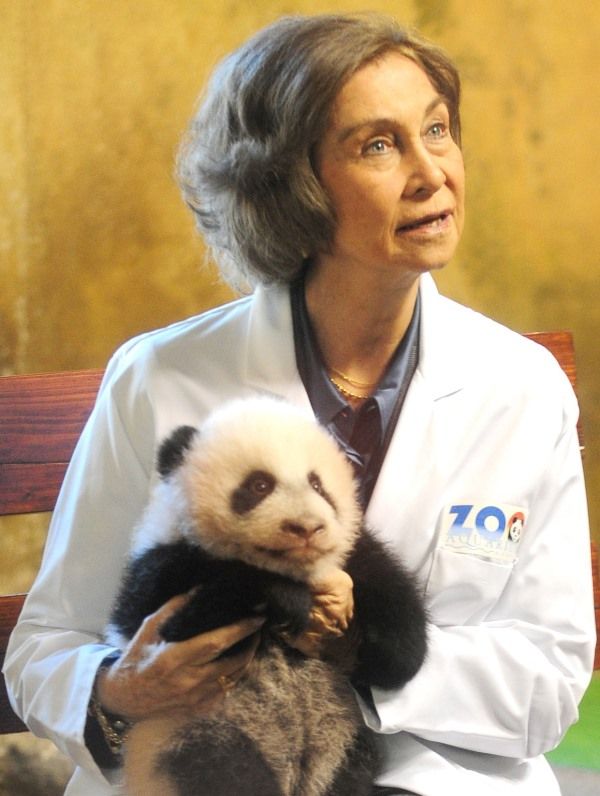 The Panda and the Royal