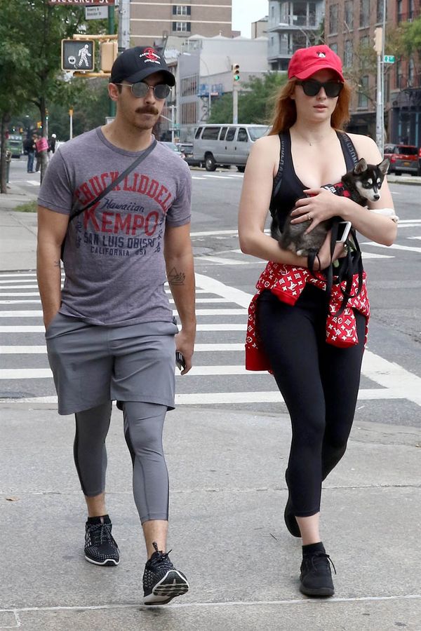 Sansa, a direwolf and her boyfriend’s mustache