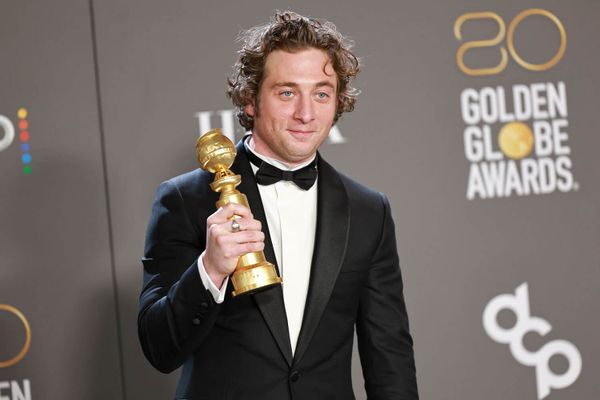 The Bear Is A Kitten