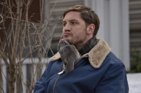 Best of 2013: Tom Hardy & the puppy