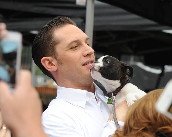 Tom Hardy: surrounded by dogs