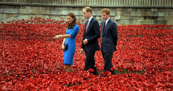 The poppies at the Tower