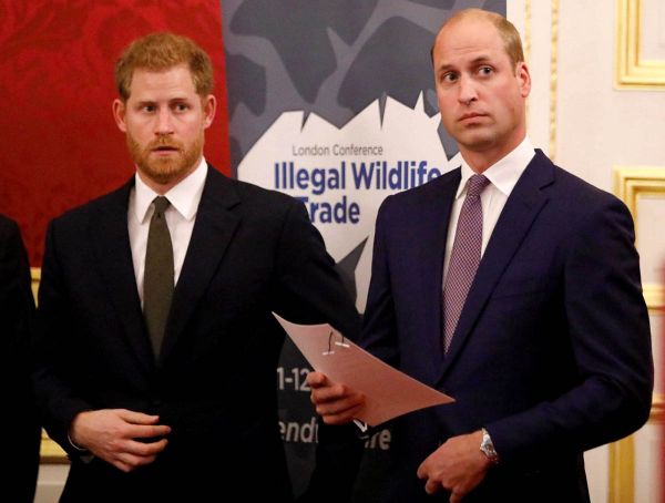 William & Harry: separate courts?