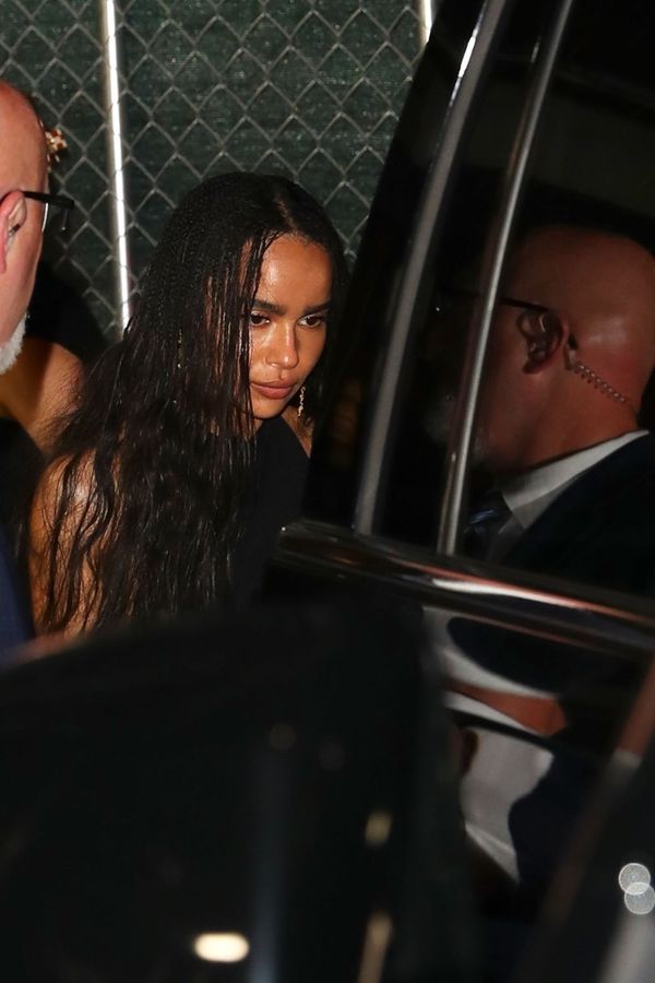 Zoë Kravitz and the Pussy Problem