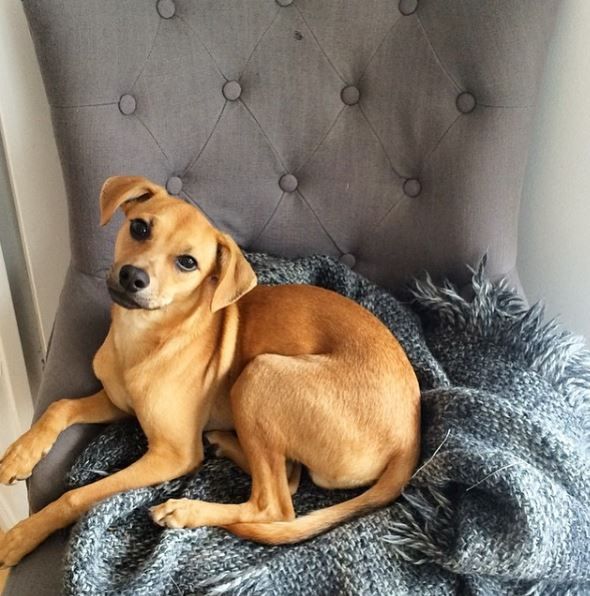 Duana Names: Naming a Star