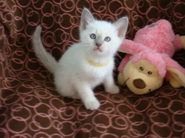 Duana Names: If You Please