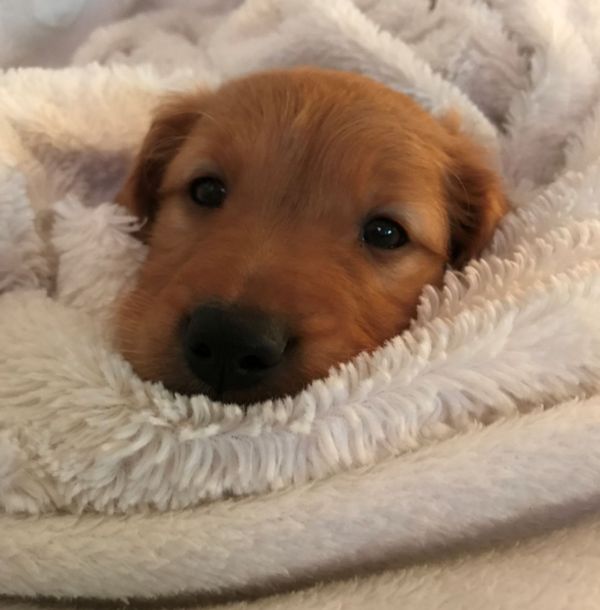 Duana Names: ‘Marking’ and Mega-Updates