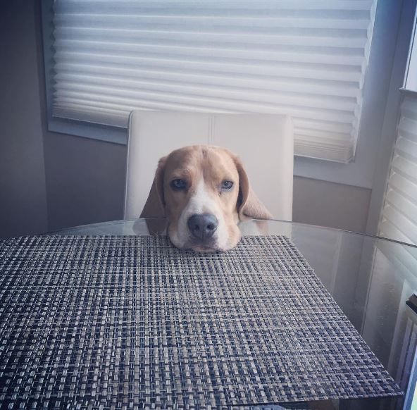 Duana Names: How Unique Do I Need To Go?