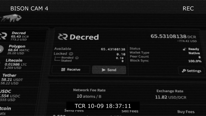 Too good to be true - Decred Today LIVE #8