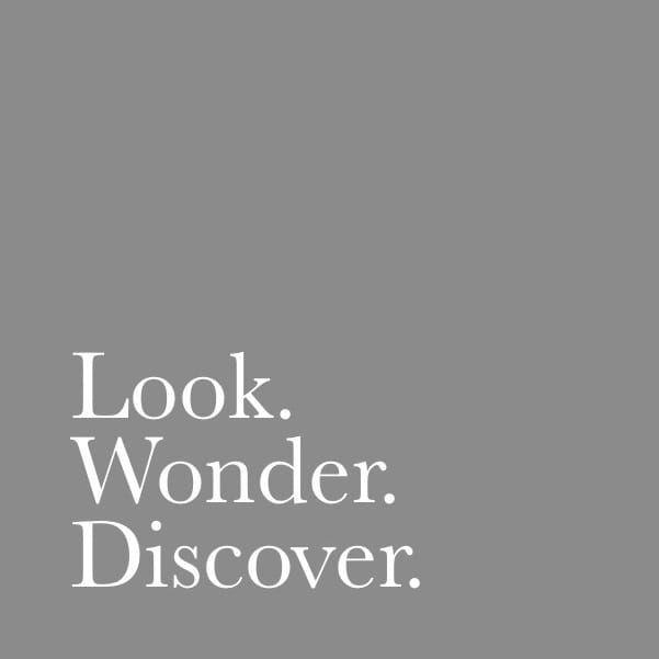 Look Wonder Discover | Community
