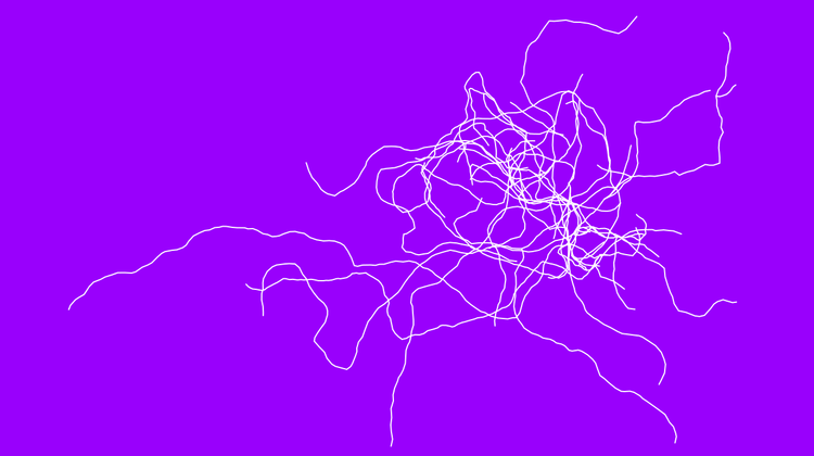 Artistic depiction of a network of fungal roots