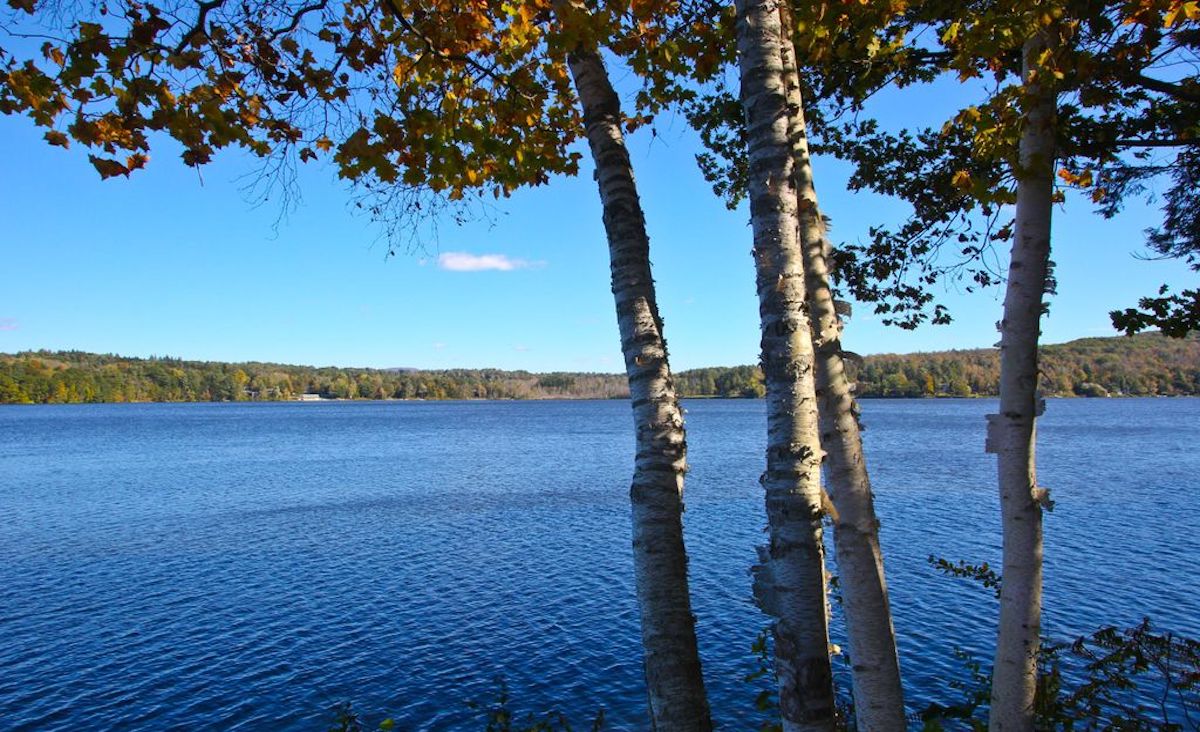 View over the water