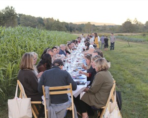 Rural Intelligence Parties and Openings