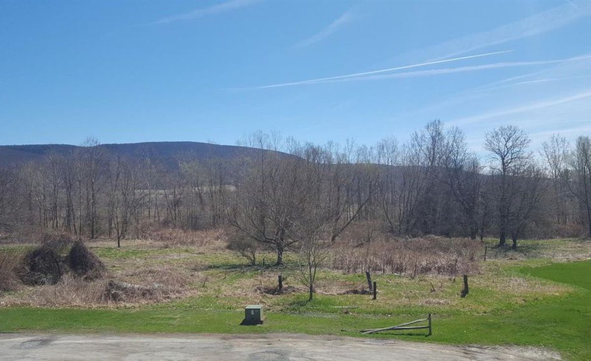 Views from deck.