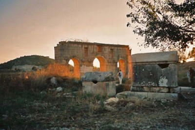 Rural Intelligence Food