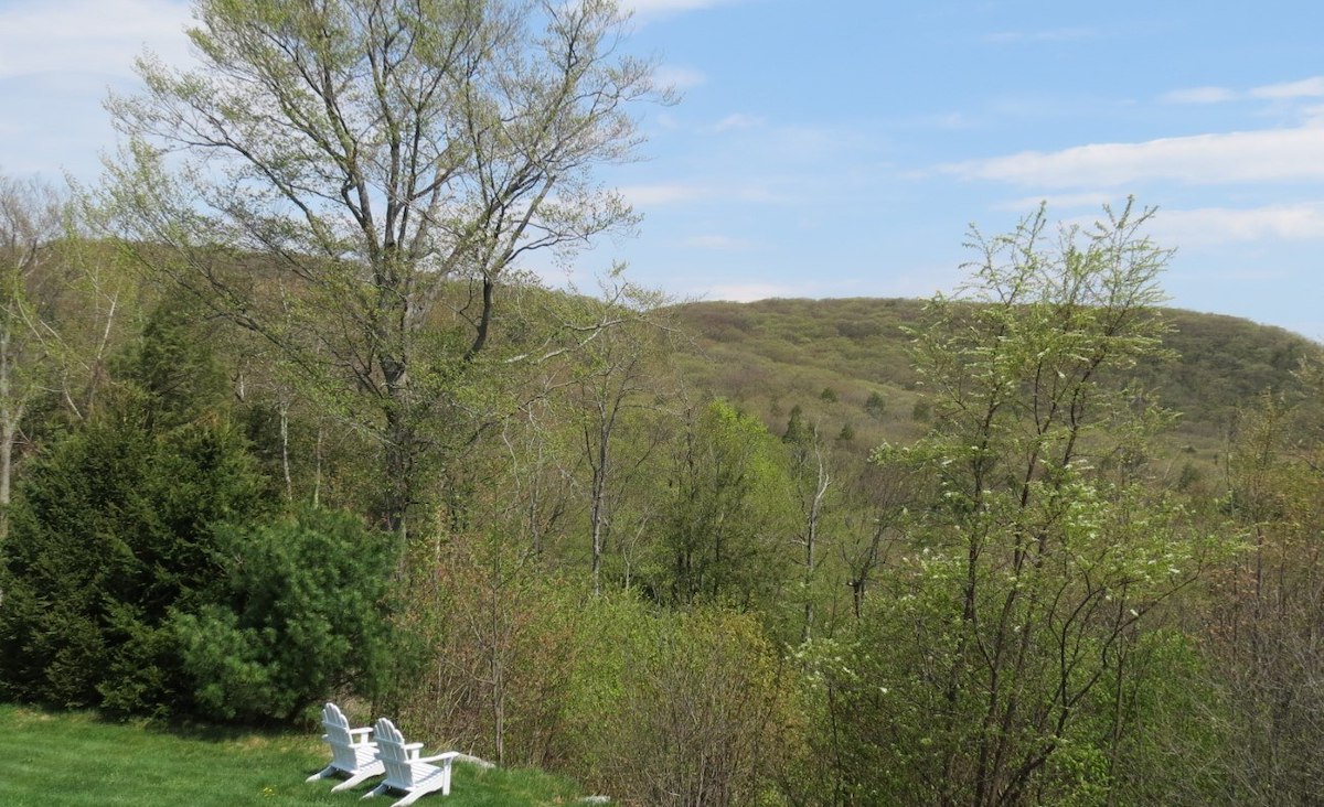 Views from deck
