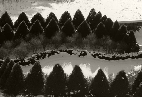 Rural Intelligence Style