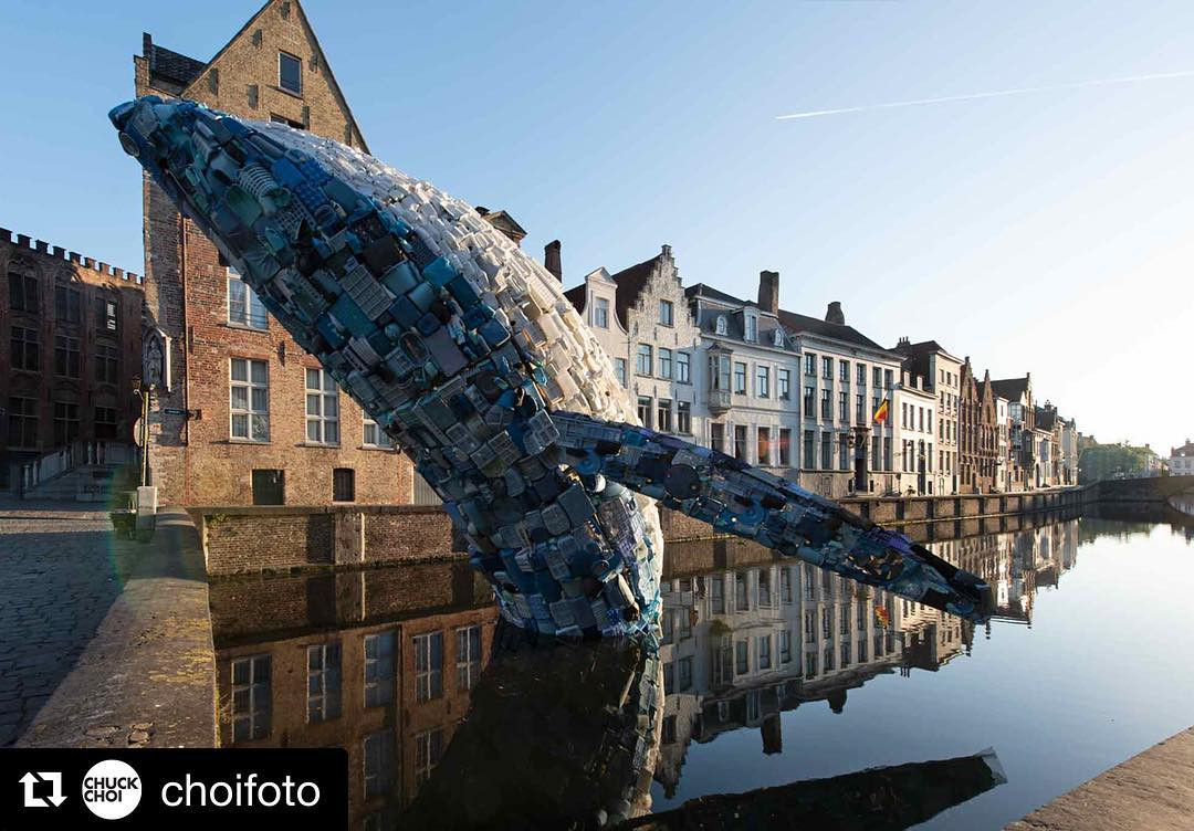 Whale in Love by Studio KCA&nbsp;is made from 15 tons of plastic waste collected from&nbsp; Kaohsiung, Taiwan. Here it is temperatally installed in Bruges Belgium. 4th State assisted with fabrication. Photo provided by 4th State.