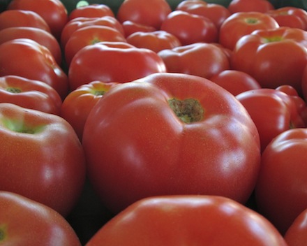 Rural Intelligence Food