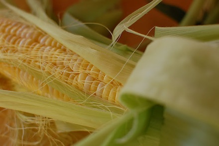 Rural Intelligence Food