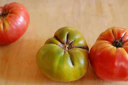 Rural Intelligence Food